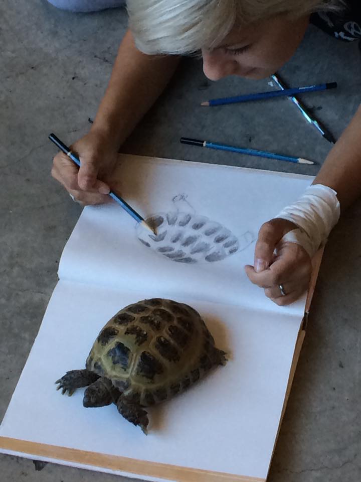 The Drawing Zoo: Animal Illustration offers opportunities to study and draw  live animals (photo courtesy of The Drawing Zoo) - The Howard County Arts  Council