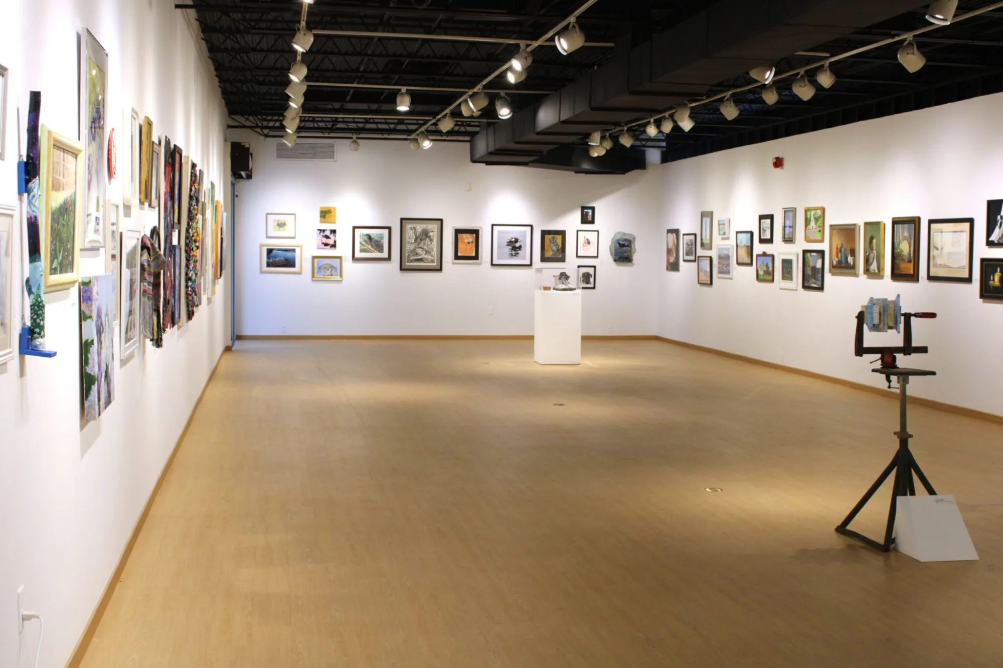 A spacious art gallery with white walls displaying various artworks, including paintings and photographs, on both sides. A sculpture is placed on a pedestal in the center.