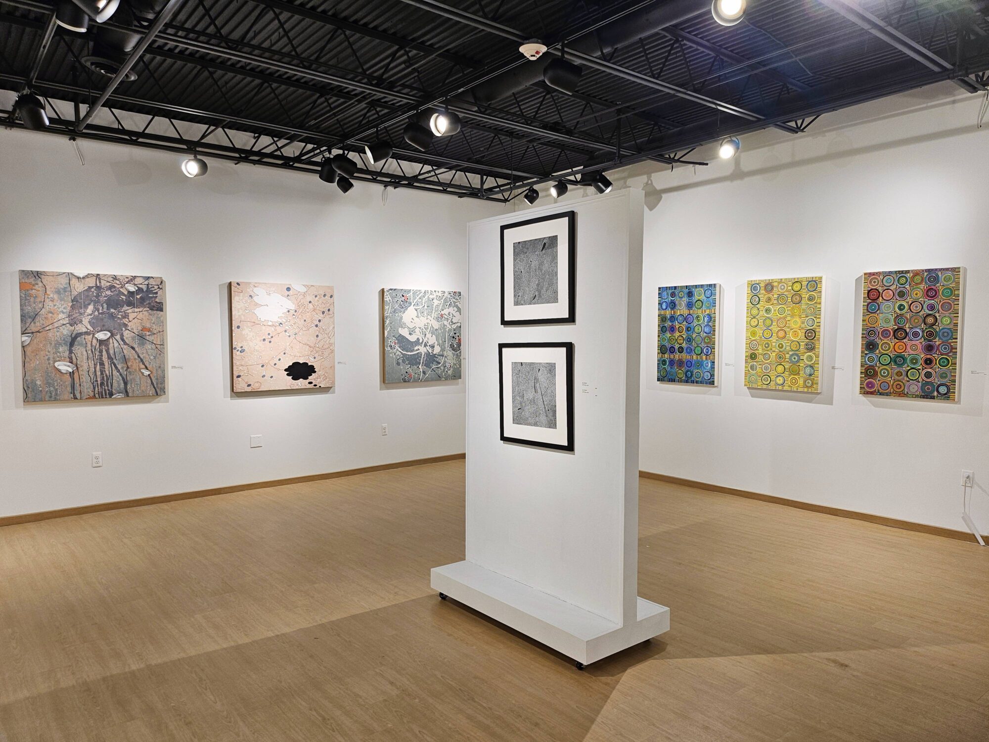 Compulsory Measures 2024 gallery installation