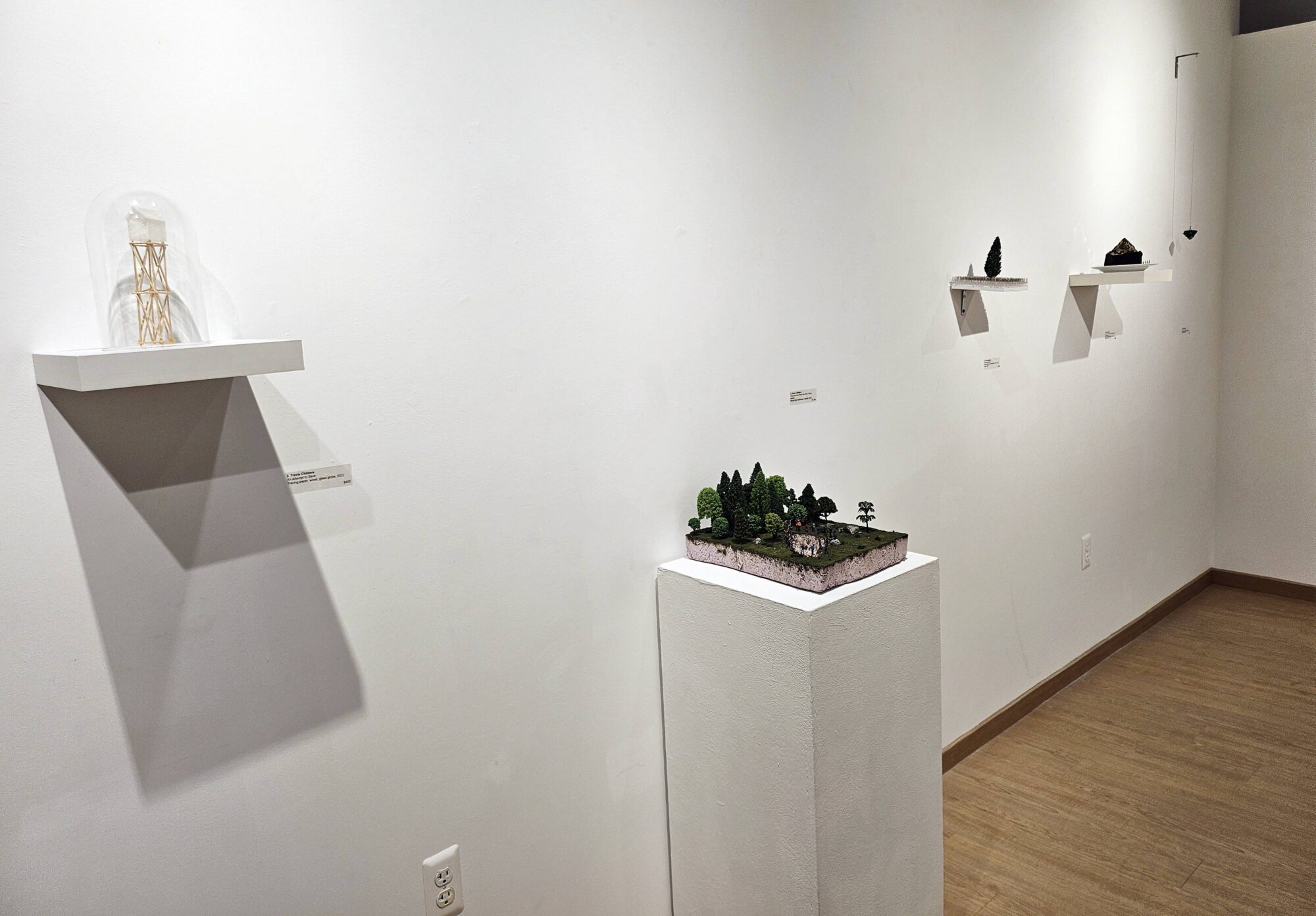A Closer Look 2024 gallery installation