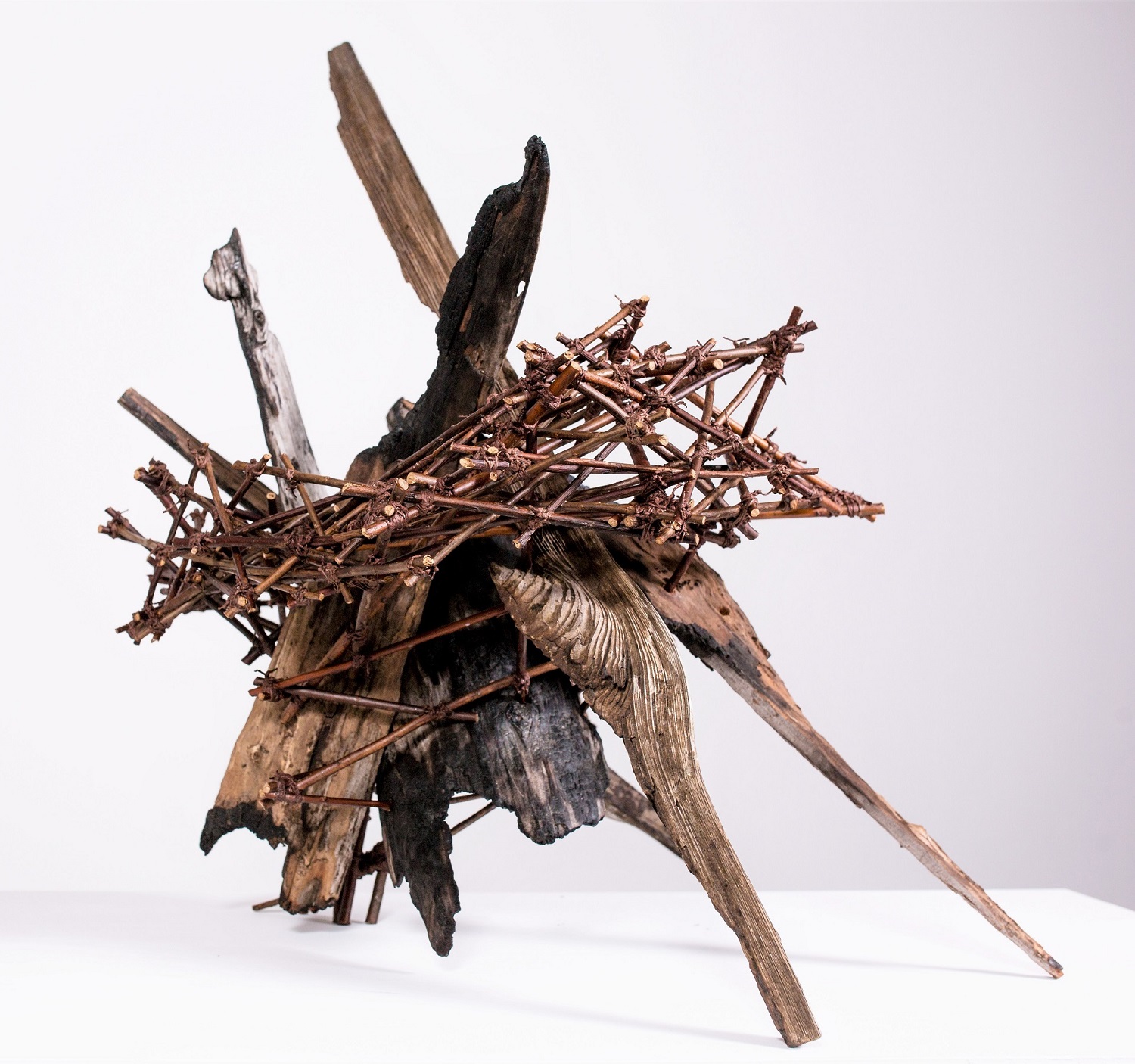 Regeneration artwork by Marcia Wolfson Ray