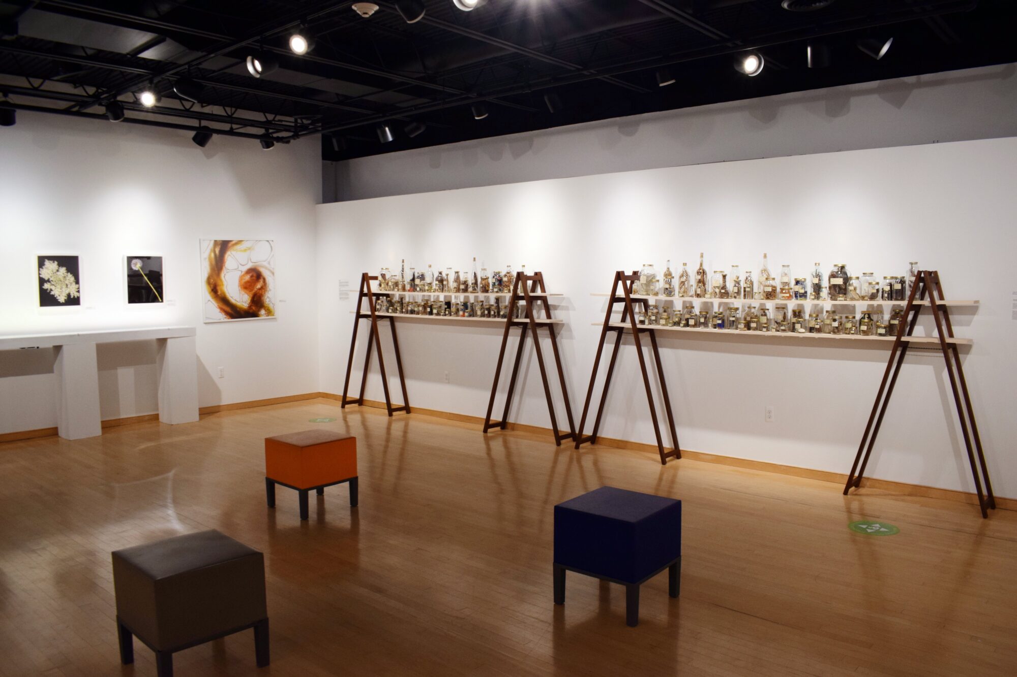 Biosphere gallery installation