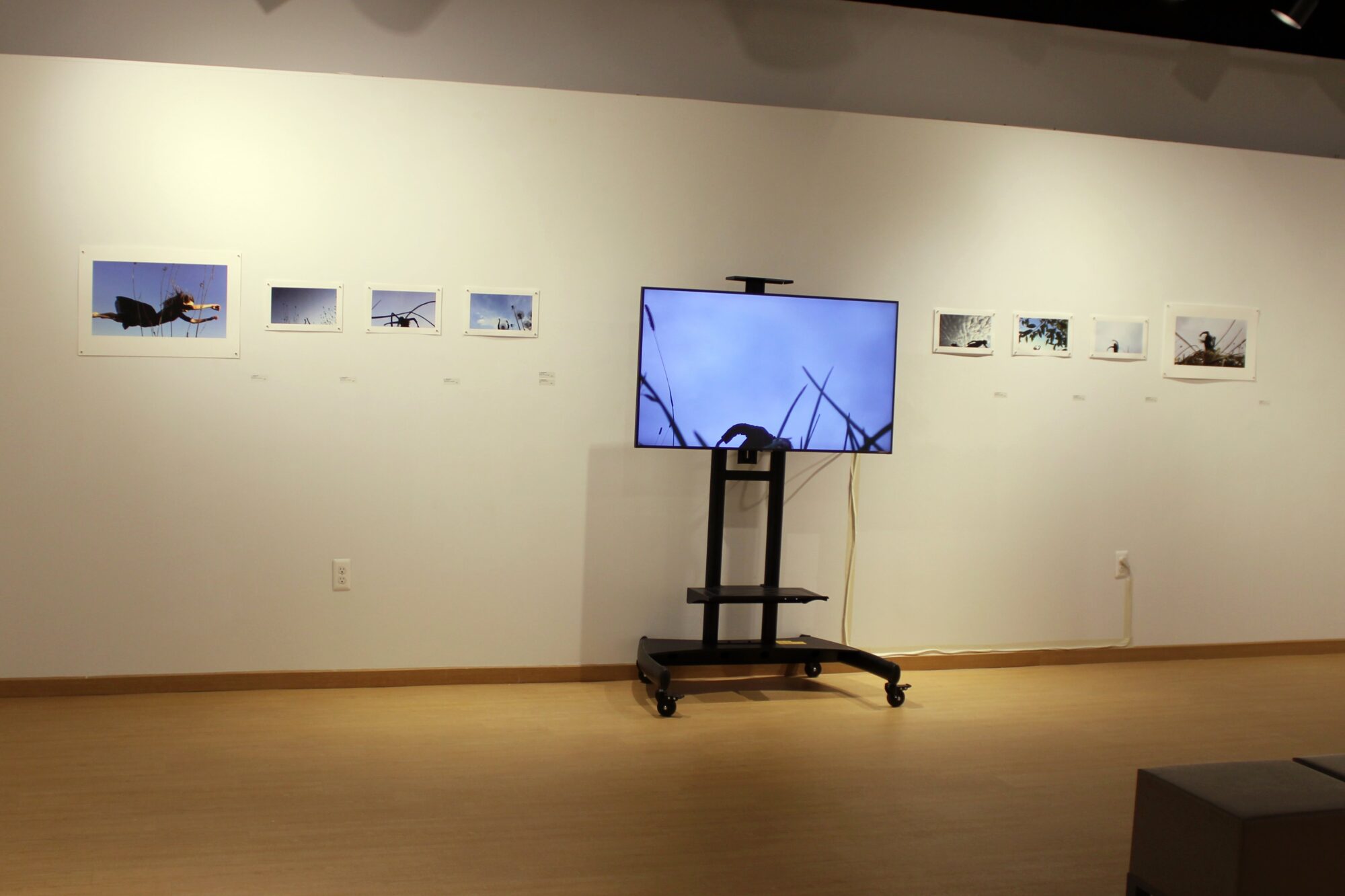 Reflective Moments gallery installation 2023