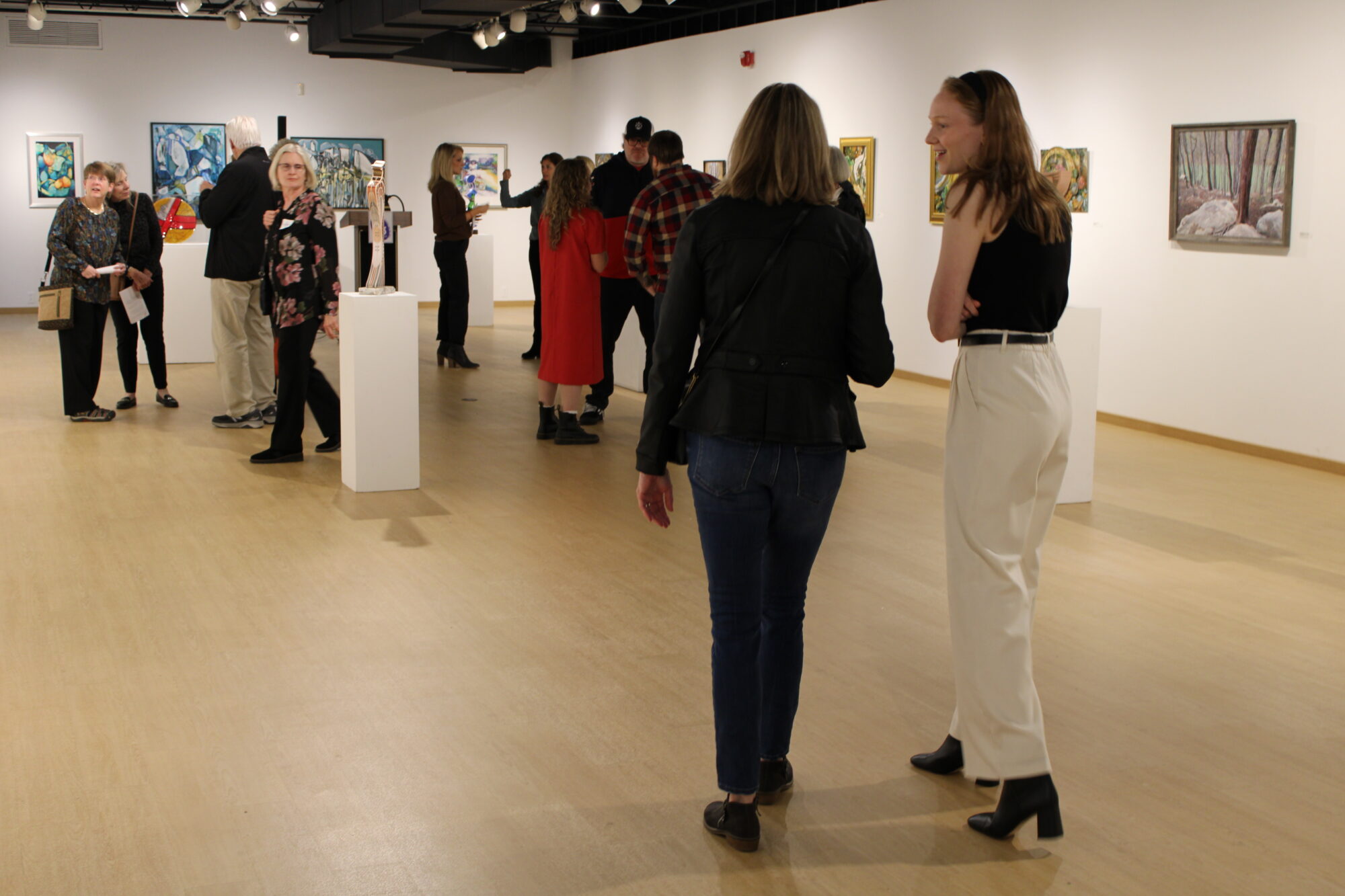 Art Howard County 2023 gallery installation
