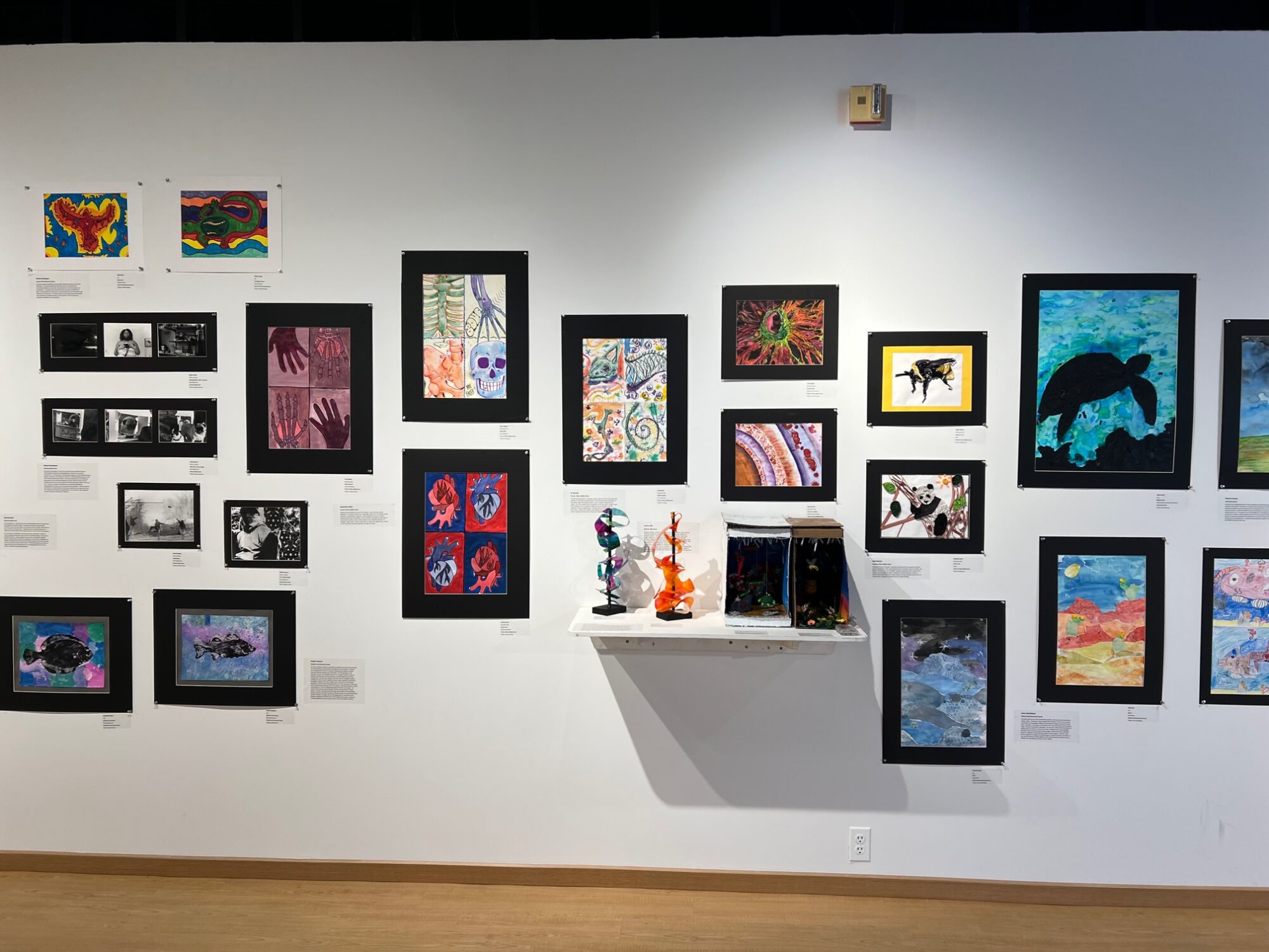 Youth Art Month 2023 gallery installation