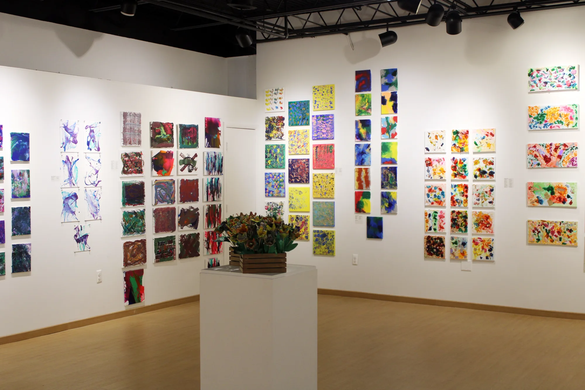 No Boundaries 2025 Exhibit (HoCo Arts Photo)