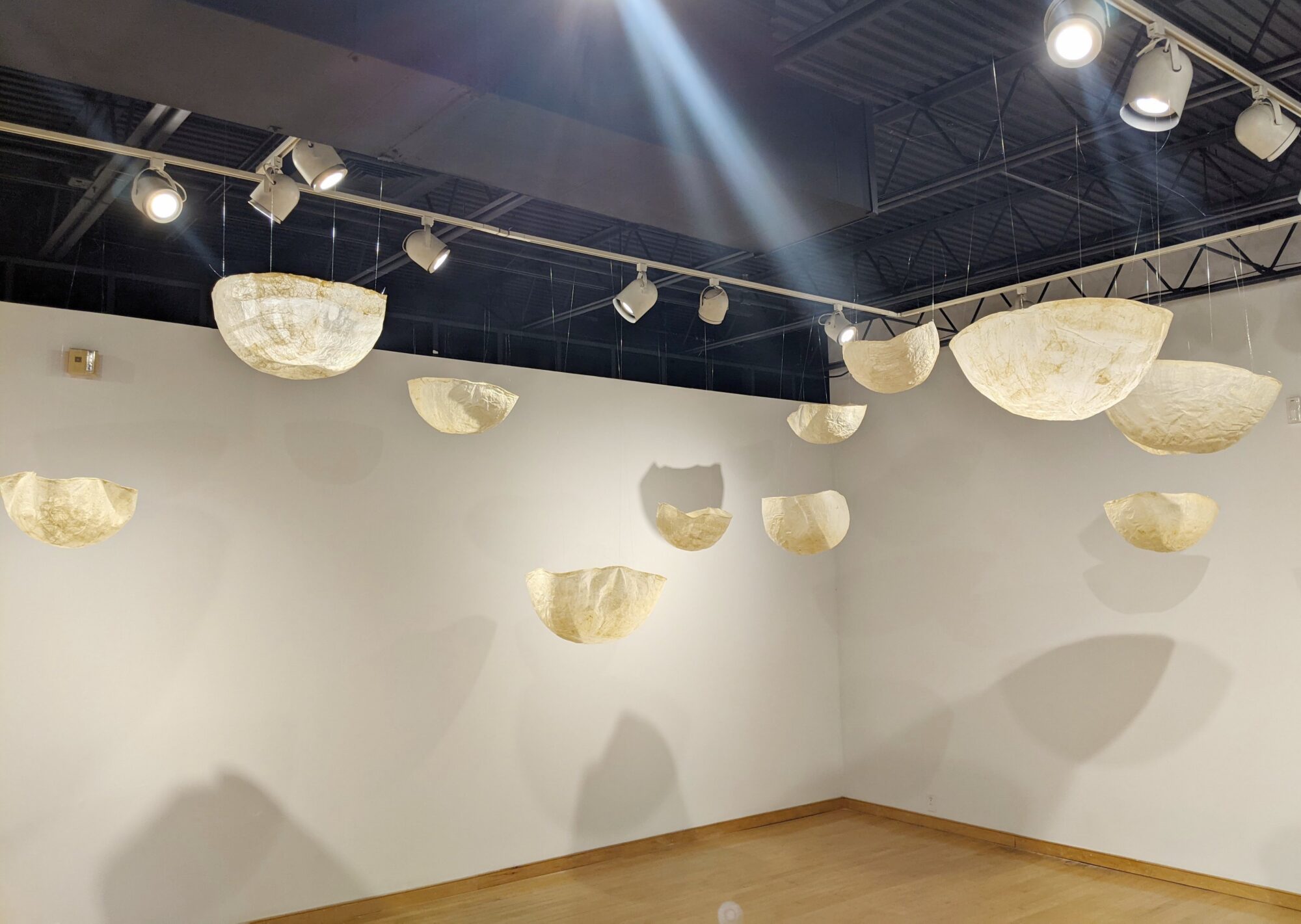 Regeneration in the gallery