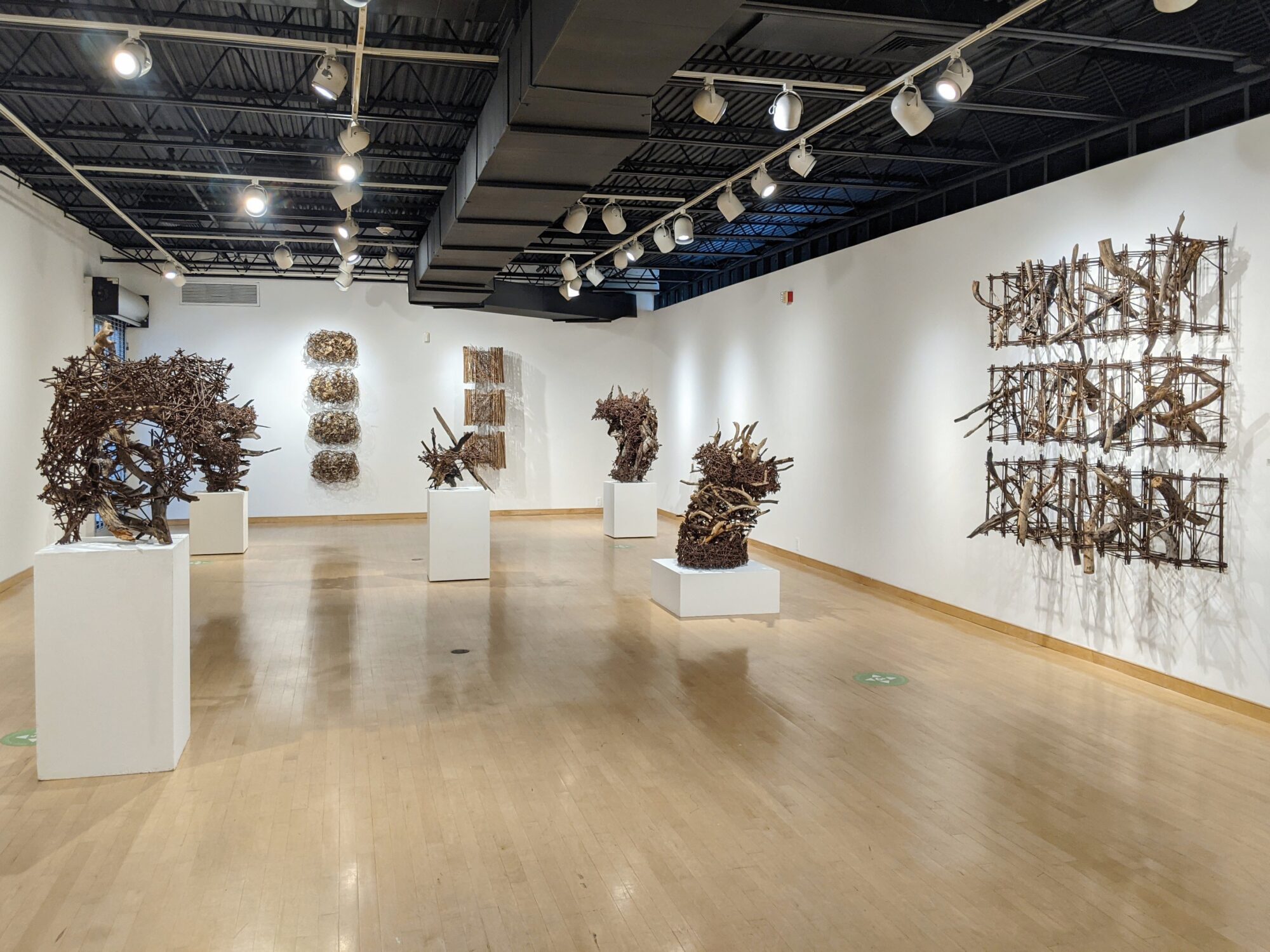Regeneration in the gallery