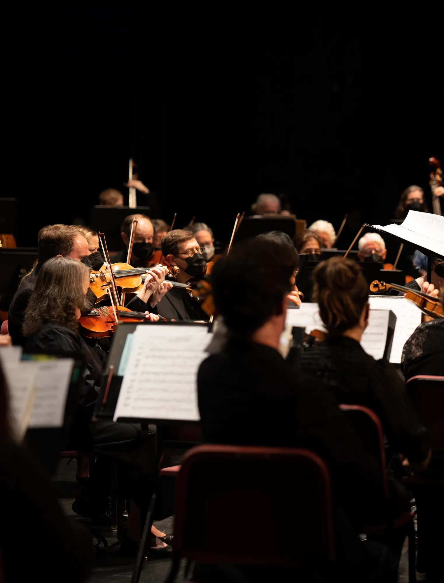 Resident Arts Organization, The Columbia Orchestra on stage