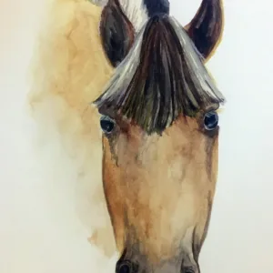 Watercolor & Drawing for Beginners