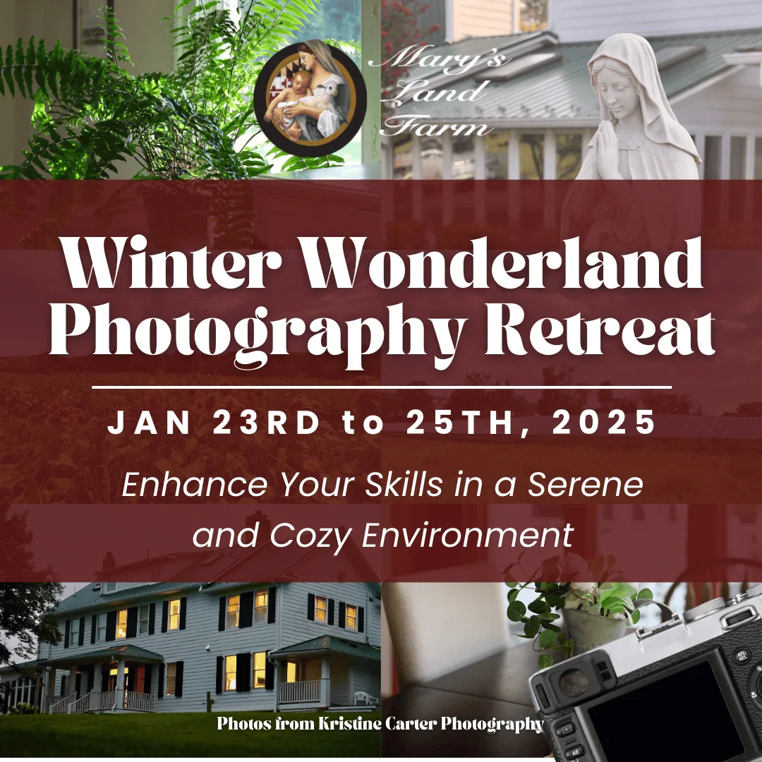 ❄️ Winter Wonderland Photography Retreat: Serene Farm Skills
